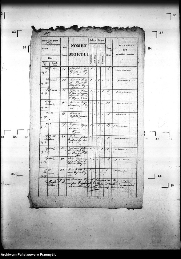 Obraz 13 z jednostki "[Kopie ksiąg metrykalnych parafii Krzywa z filią Banica (dekanat Gorlice)]"