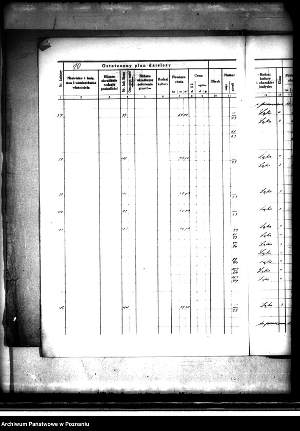 Obraz 14 z jednostki "Ostateczny plan dzielczy i nowy kataster majątku Trzcinica powiatu kępińskiego parcelacja prywatna"