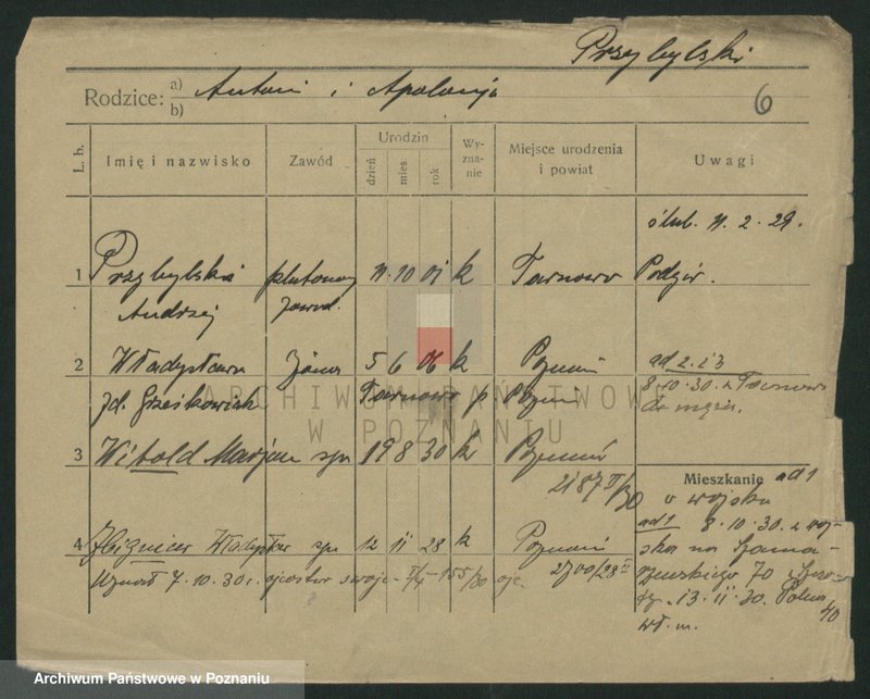 Obraz 8 z jednostki "Przybylski (żonaci - samotni mężczyźni do Gustaw)"