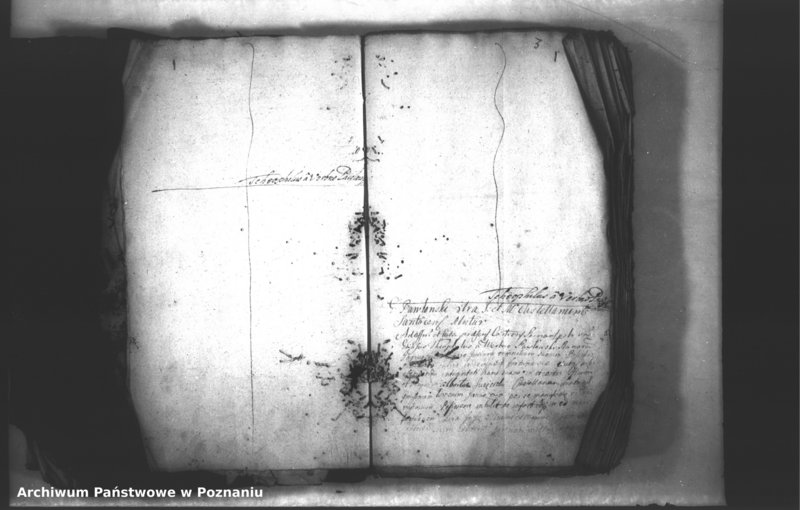 Obraz 7 z jednostki "Relationes [protocollon]"