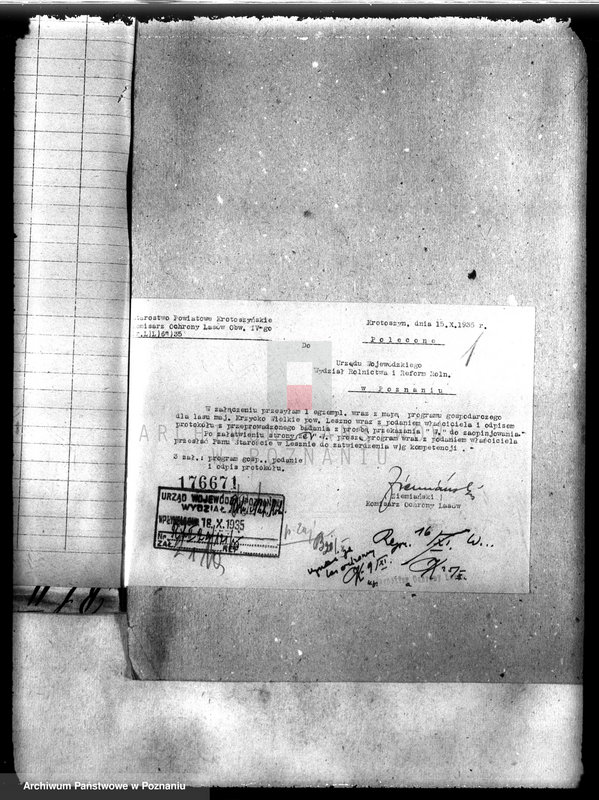 Obraz 5 z jednostki "Las majątku Krzycko Wielkie powiat leszczyński"