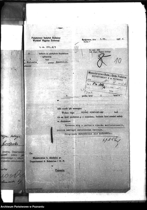 Obraz 15 z jednostki "Nosacizna - Grodzisk"