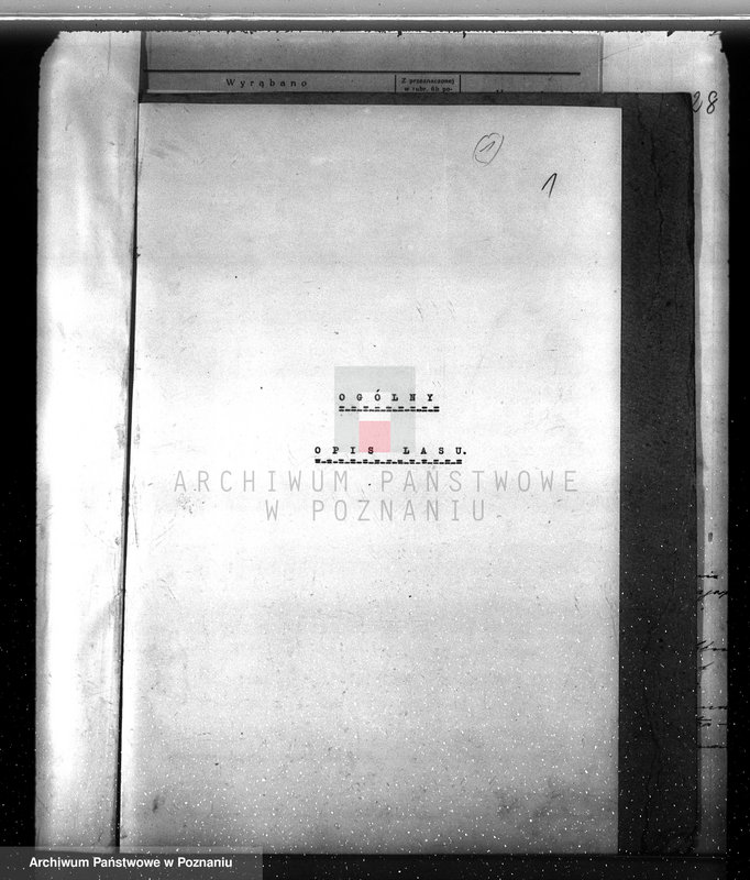 Obraz 5 z jednostki "Plan urządzenia gospodarstwa leśnego dla lasu ordynacji Kobylniki powiat szamotulski 1930-1940"