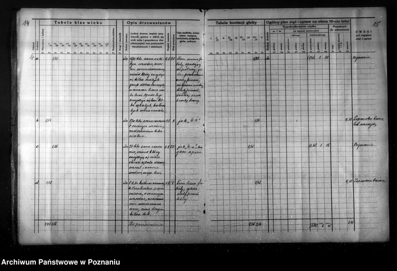 Obraz 12 z jednostki "Plan gospodarstwa leśnego dla lasu Jaegera Waltera gmina Zatom Nowy powiat międzychodzki 1933-1944"