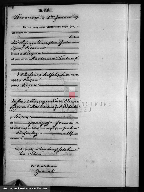 Obraz 15 z jednostki "[Księga zgonów]"