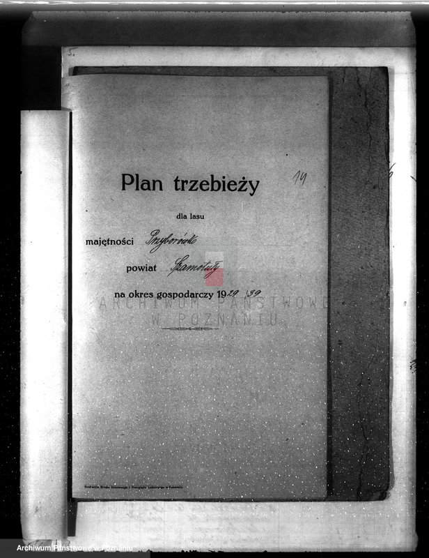 image.from.unit.number "Plan urządzenia gospodarstwa leśnego dla lasu majętności Przyborówko powiat szamotulski 1929-1939"