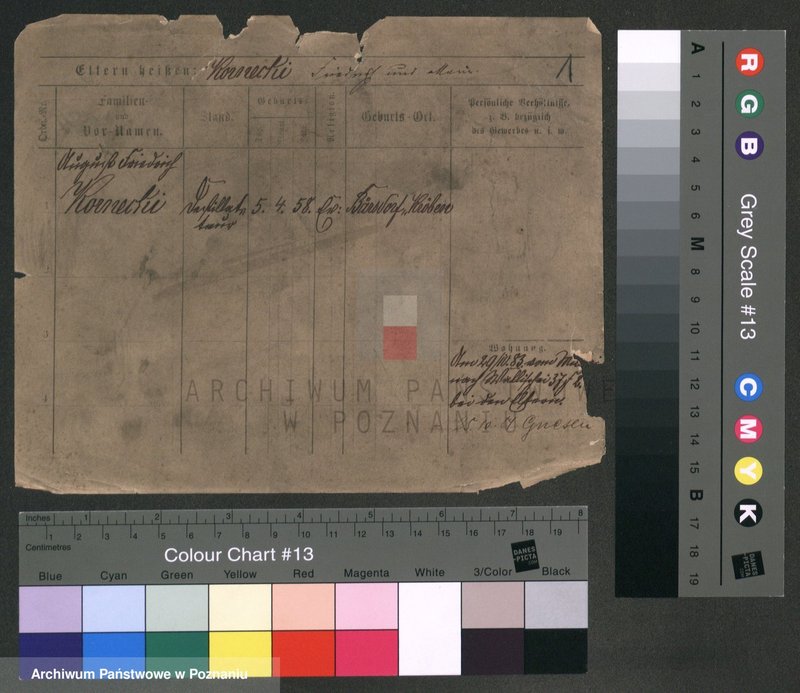 Obraz 1 z jednostki "Kornecki - Kortus"