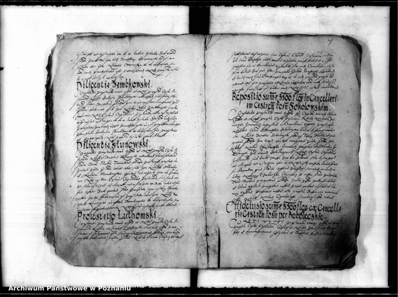 Obraz 11 z jednostki "Inscriptiones, relationes [inducta]"