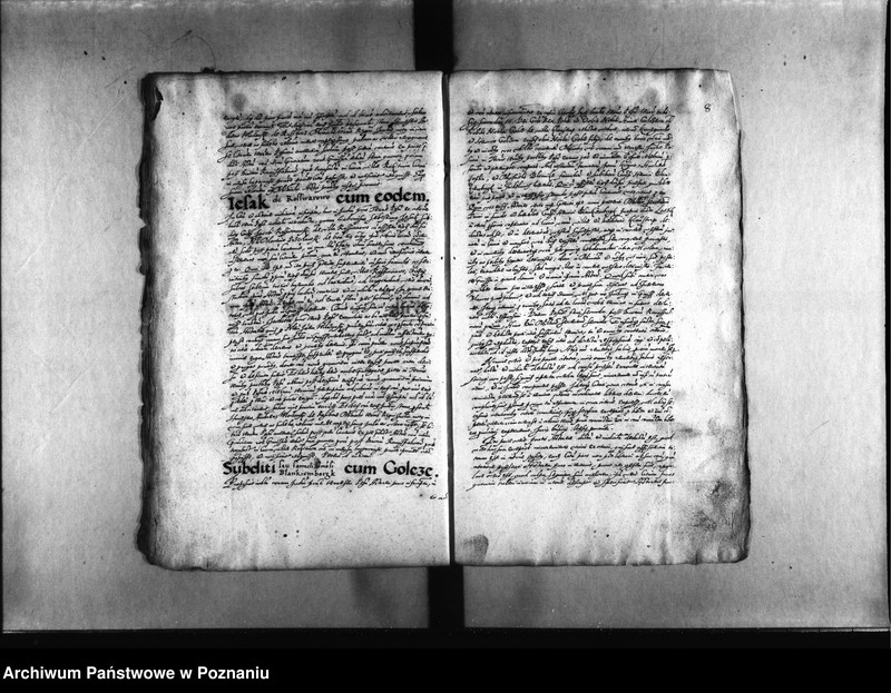 Obraz 11 z jednostki "Decreta [inducta]"