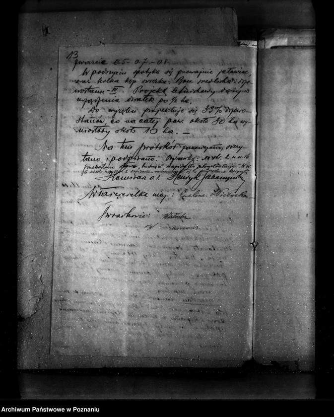 Obraz 17 z jednostki "Las majątku Napoleonów nr 1 własność Eweliny Wisłockiej powiat turecki"