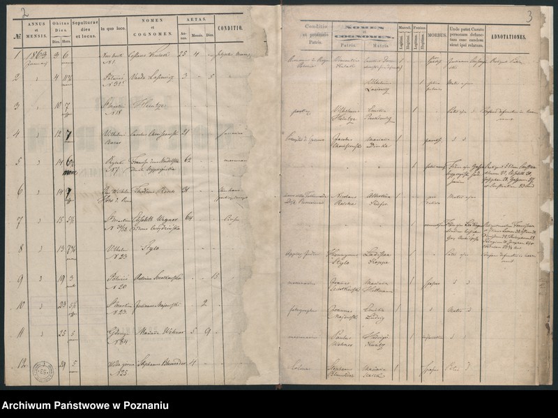 Obraz 4 z jednostki "Księga zgonów"