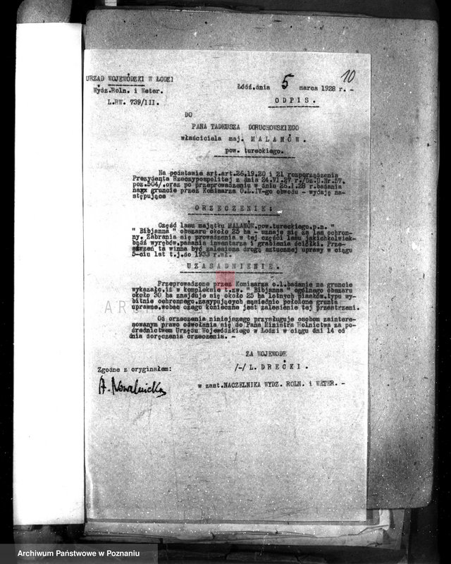 Obraz 14 z jednostki "Uznanie za ochronne powierzchni około 25 ha terenów leśnych pod nazwą,,Bibianna" należących do majątku Malanów powiat turecki"