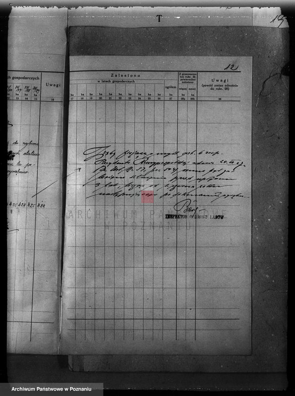 Obraz 16 z jednostki "Plan urządzenia gospodarstwa leśnego dla lasu majętności Zbąszyn-Perzyny powiat nowotomyski 1929-1939"