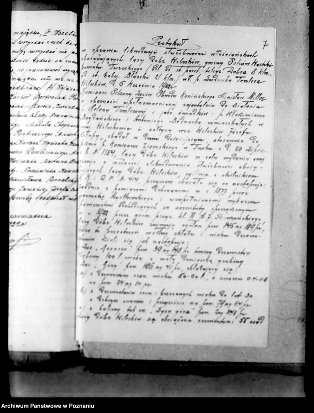 Obraz 11 z jednostki "Lustracja lasów majątku Wilczków powiat turecki"