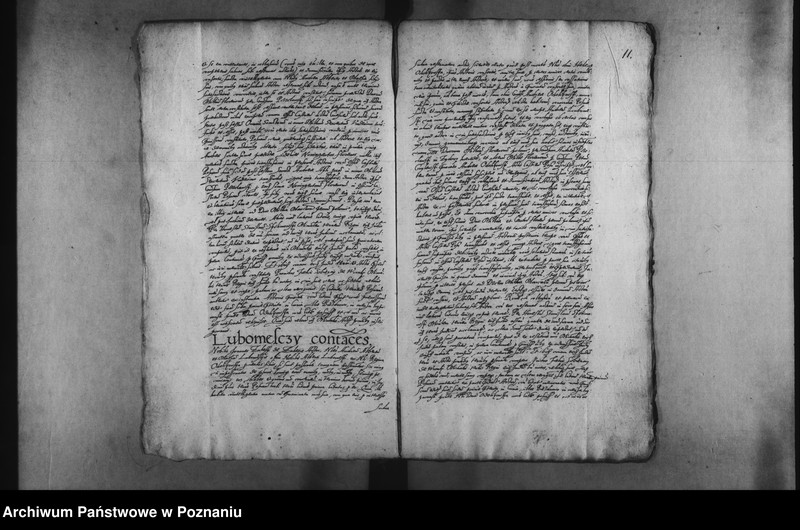 Obraz 14 z jednostki "Decreta [inducta]"