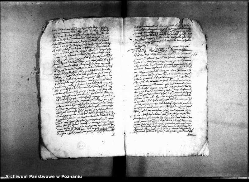 Obraz 18 z jednostki "Decreta officii [inducta]"