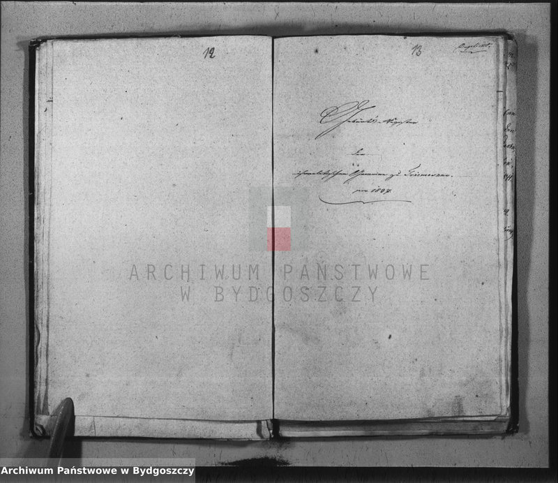 image.from.unit.number "Duplicate der Civil Standes Bücher der Juden Gemeinde zu Trzemeszno"