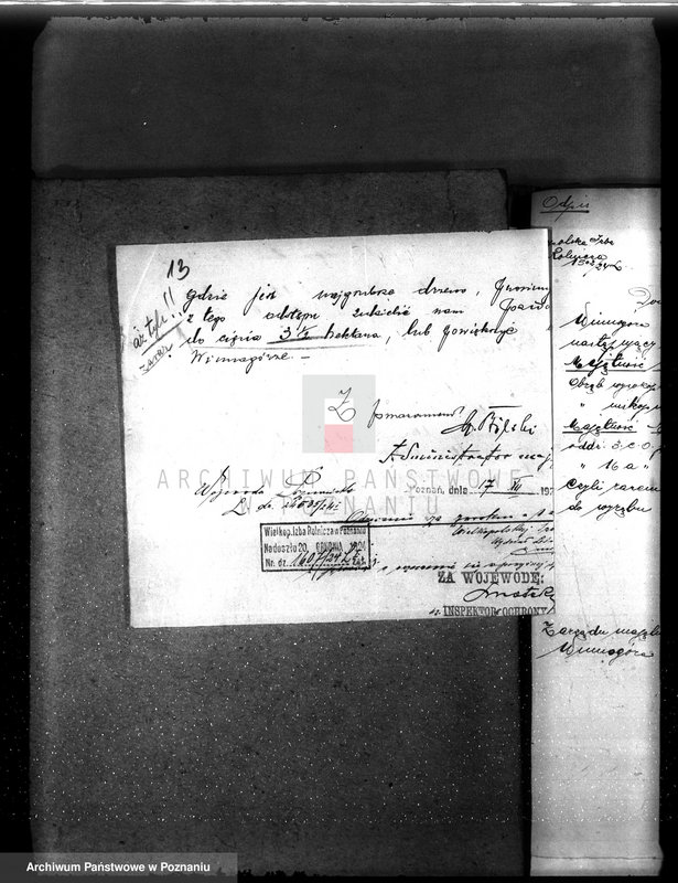 Obraz 17 z jednostki "Nadzór nad gospodarką w lasach majętności Bronisław"