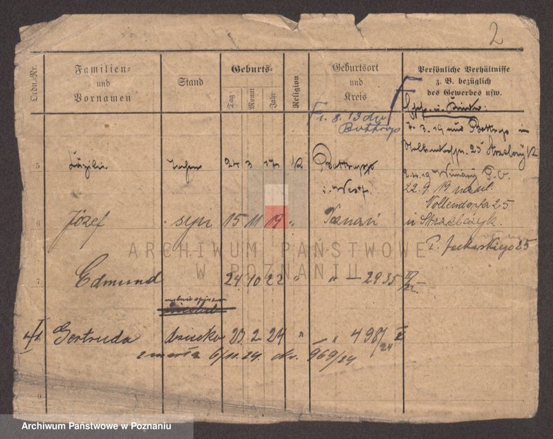 Obraz 2 z jednostki "Ja - Jachczyk"