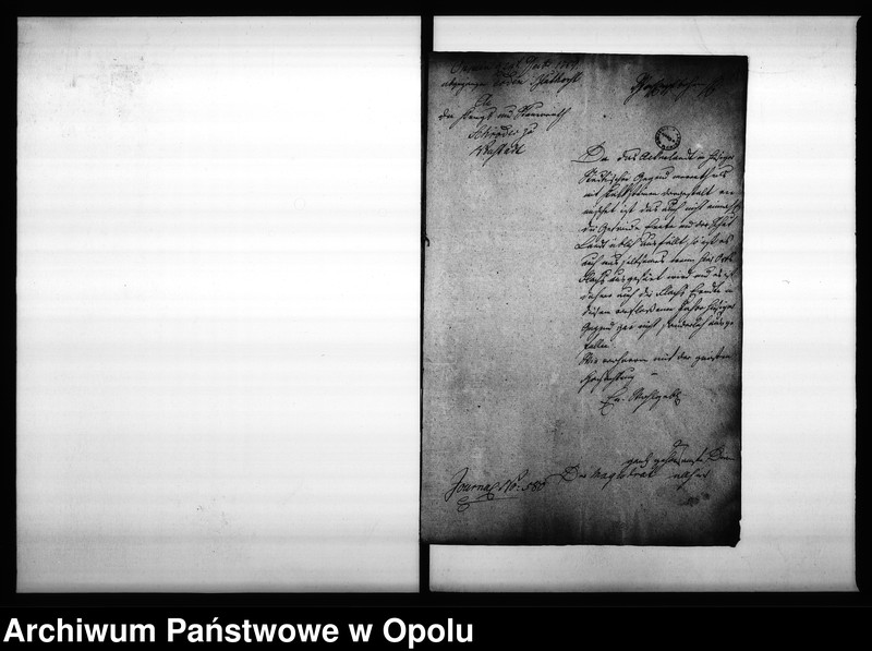 Obraz 5 z jednostki "Acta des Magistrats zu Oppeln von Flachs Anbau und der darüber zu erstattende jährlichen Eingaben"