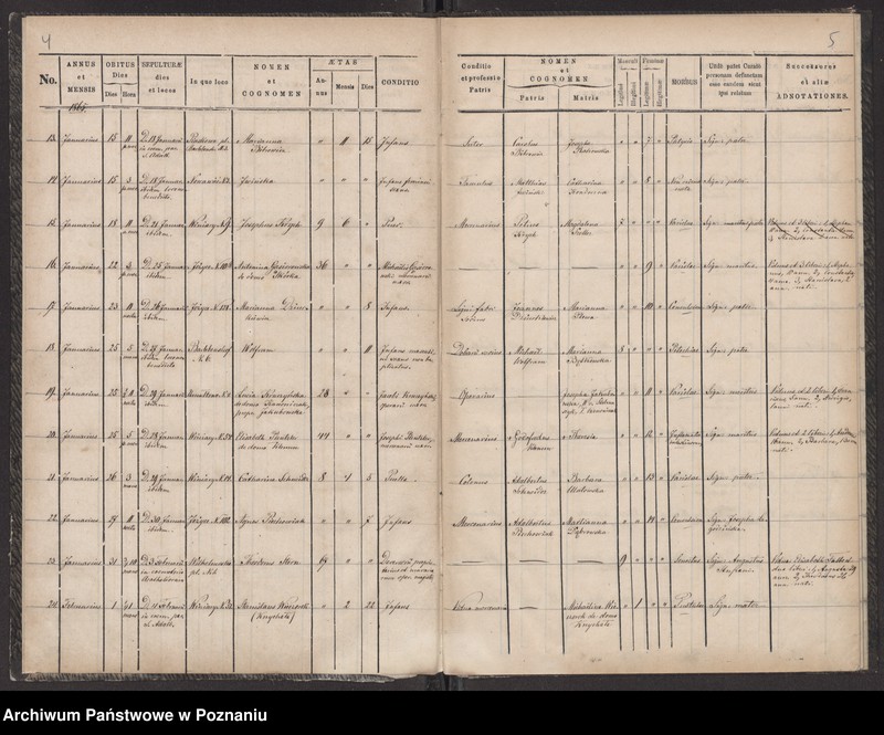 Obraz 5 z jednostki "Księga zgonów"