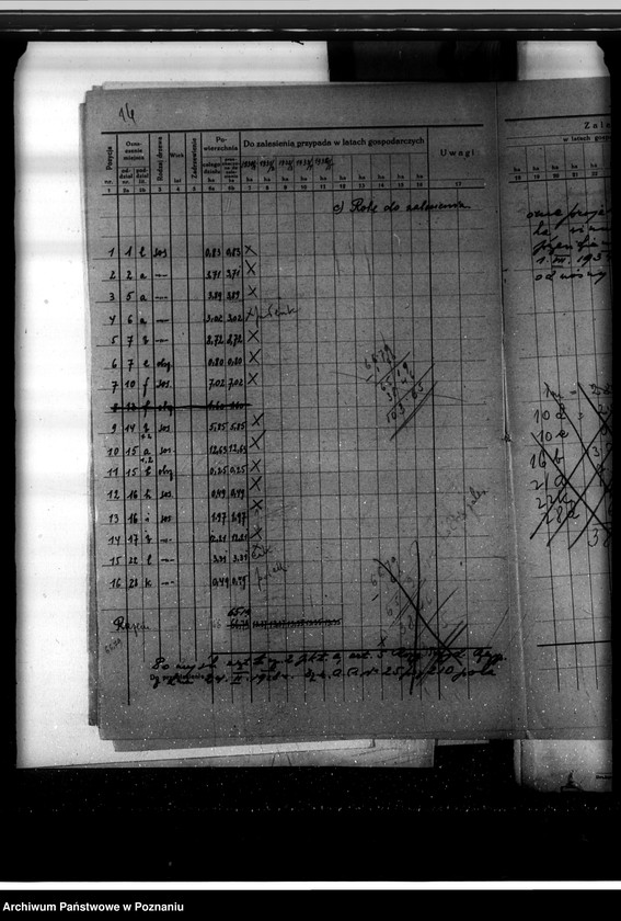 Obraz 20 z jednostki "Program urządzenia gospodarstwa leśnego lasu majętności Owińska powiat poznański"