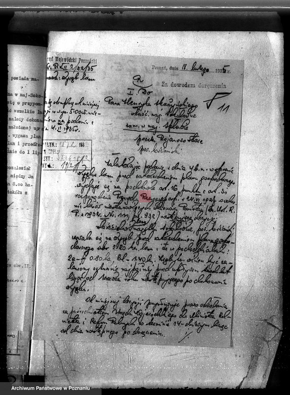 Obraz 15 z jednostki "Majętność leśna Sokołowice powiat kościański"