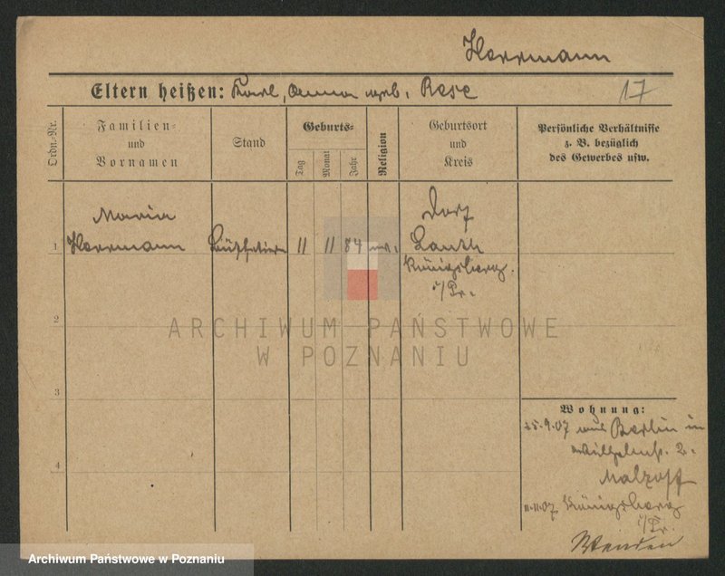 Obraz 17 z jednostki "Herman - Hermyła"