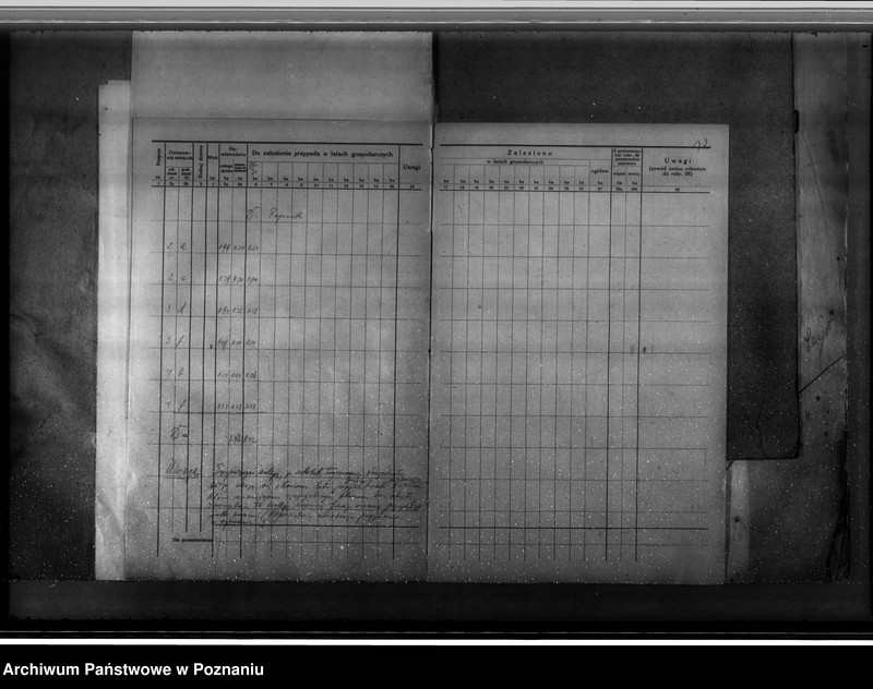 Obraz 16 z jednostki "Majętność leśna Węgierskie powiat średzki [opis lasu i plan cięć]"