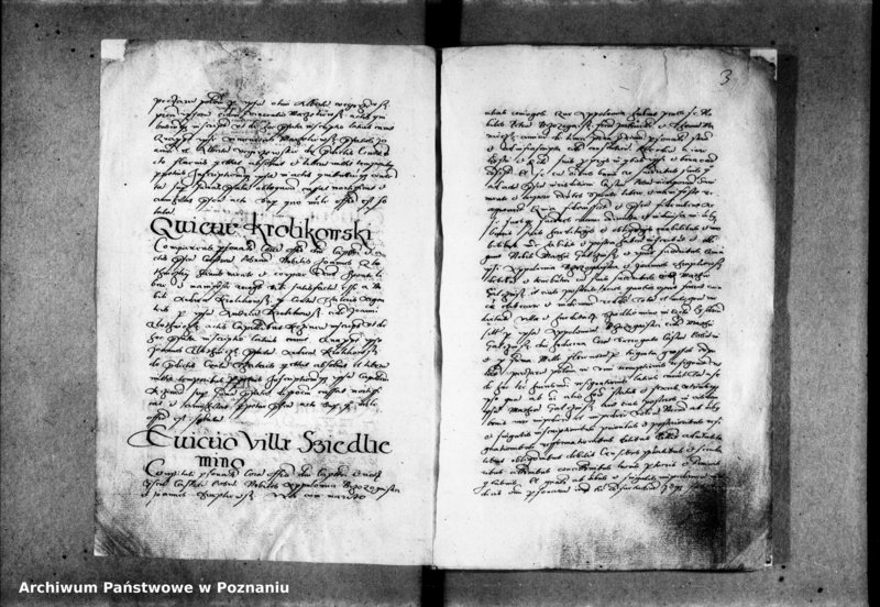 Obraz 8 z jednostki "Inscriptiones, relationes [inducta]"