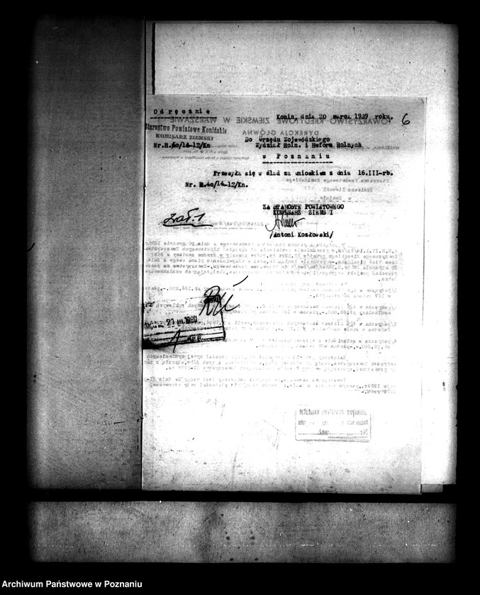 Obraz 10 z jednostki "Scalanie wsi Nowa-Wieś Cienińska powiatu konińskiego"