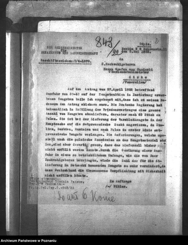 Obraz 6 z jednostki "Konie"