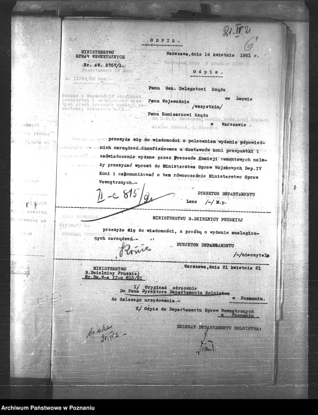 Obraz 10 z jednostki "Konie"