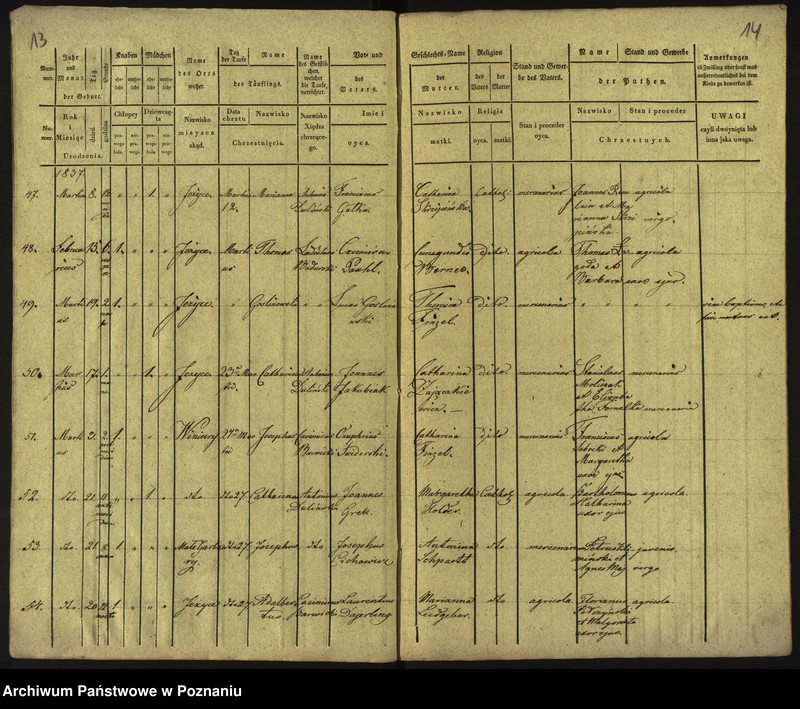 Obraz 10 z jednostki "Księga urodzeń"