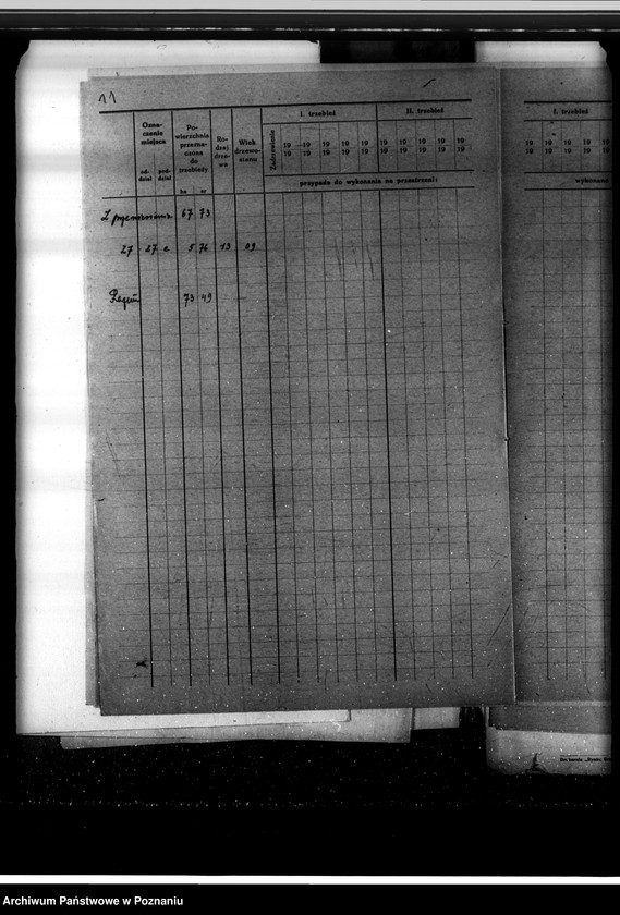 Obraz 15 z jednostki "Program urządzenia gospodarstwa leśnego lasu majętności Owińska powiat poznański"