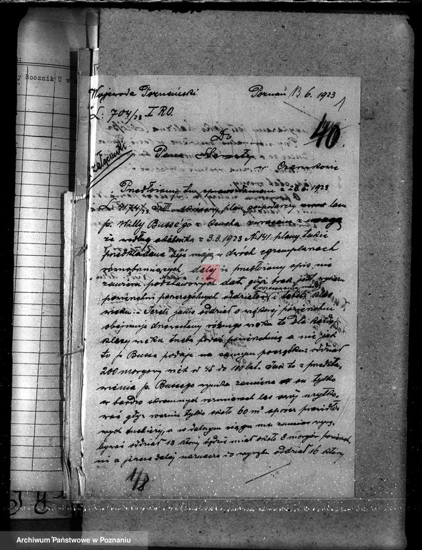 Obraz 5 z jednostki "Nadzór nad gospodarką w lasach majątku Osuch /Z. Busse/ w powiecie czarnkowskim"