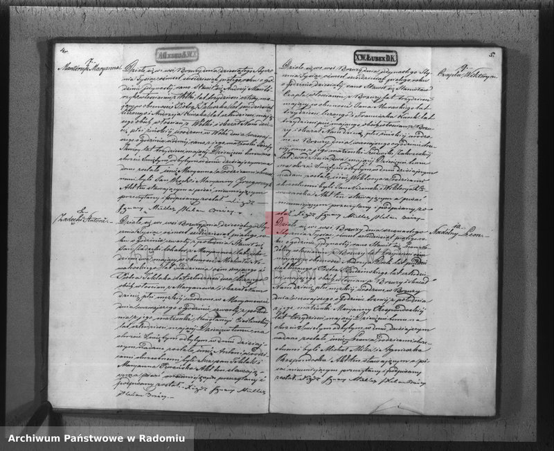 Obraz 5 z jednostki "[Akta stanu cywilnego wyznania rzymskokatolickiego parafii Brzóza 1865]"