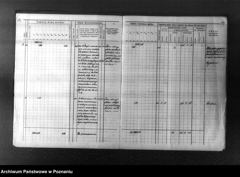 Obraz 11 z jednostki "Plan urządzenia gospodarstwa leśnego dla lasu majętności Kuleczyn w powiat nowotomyski 1933-1943"