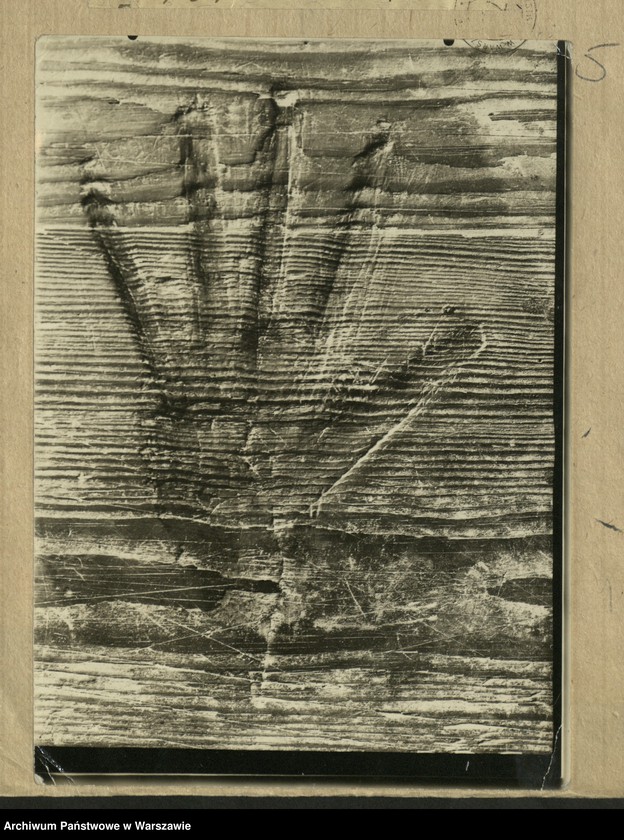 image.from.unit.number "Sąd djabelski"