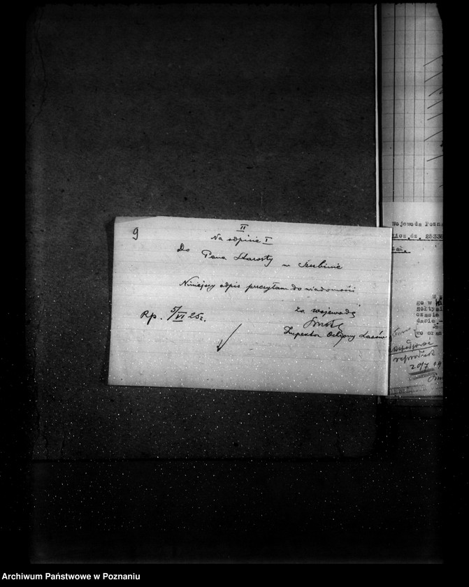 Obraz 13 z jednostki "Gospodarka leśna kościoła katolickiego Wieszki powiat szubiński"