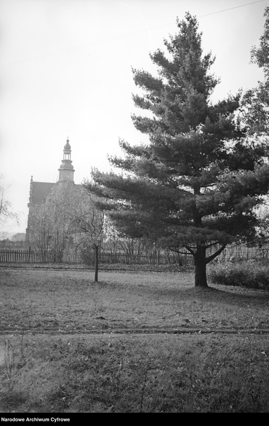 image.from.unit.number "Białowieża"