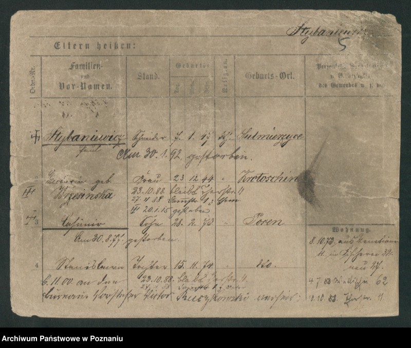 Obraz 15 z jednostki "Stybaniewicz - Suchopartka"