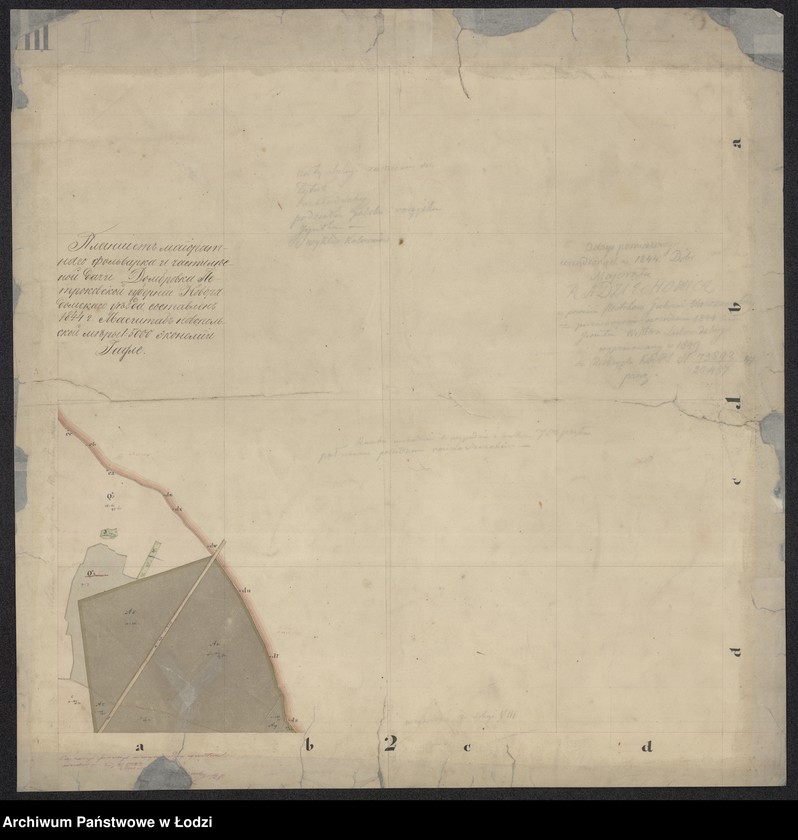Obraz 7 z jednostki "Pieroworys Urządzenia Majoratu Radziechowice składający się z folwarków Radziechowice i Dąbrówka, Kolonii Radziechowice Brodowe i Dąbrowka, osady Czerkowizna, młyna Klekot oraz lasów przyległych ..."