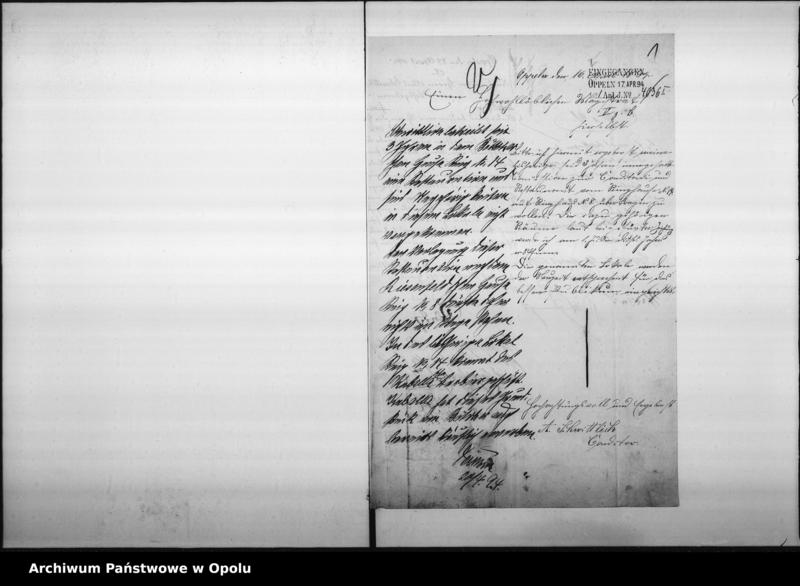 Obraz 5 z jednostki "Acta des Magistrats zu Oppeln betreffend Ausschank von "Wein, Bier und feinen Liqueren" im Riesenfeldschen Hause durch [...] Hentschel Vol: I"