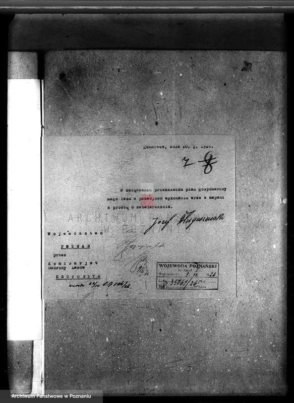 Obraz 12 z jednostki "Majętność leśna Konarzewo powiat krotoszyński"