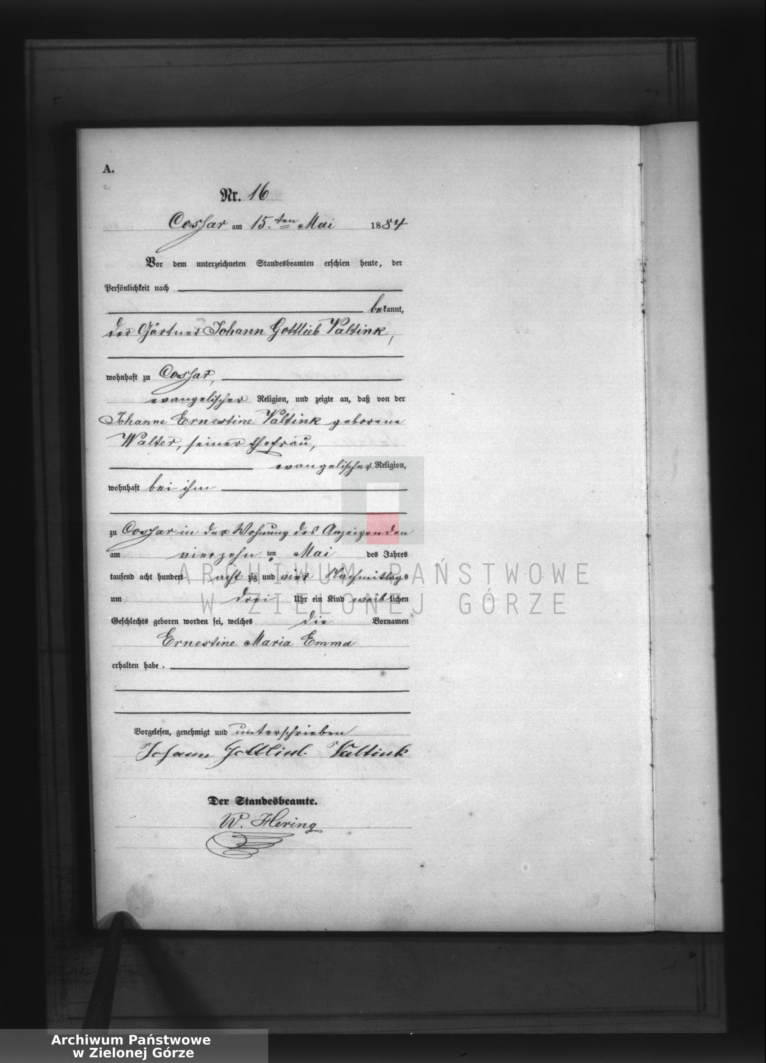 Skan z jednostki: [Księga urodzeń]