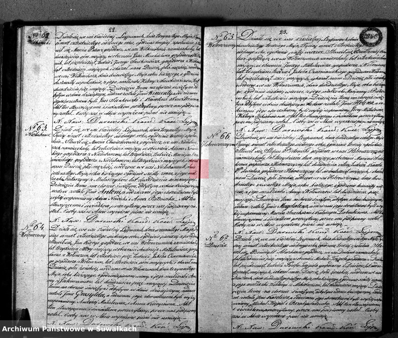 Obraz 14 z jednostki "Księga Duplikat Aktów Urodzonych, Zaślubionych i Umarłych w Parafij Leypuńskiey za Rok 1847"