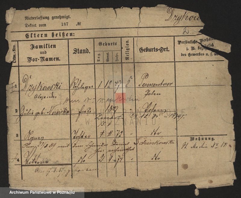 Obraz 4 z jednostki "Dzikowski - Dzyskowska"