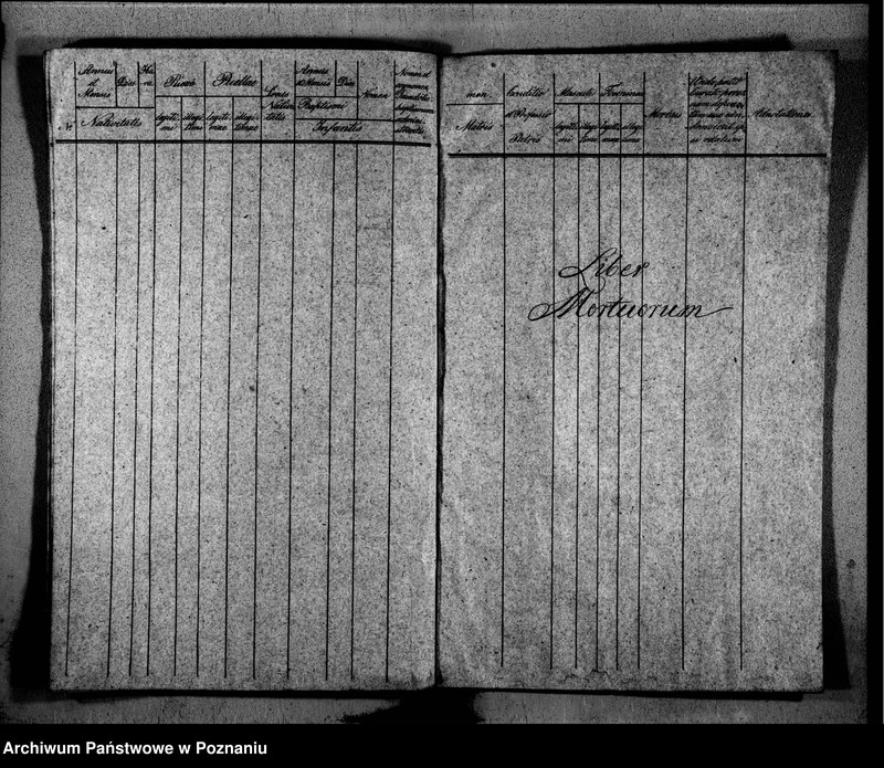 Obraz 11 z jednostki "Duplikat libri baptisatorum, copulatorum, mortuorum"