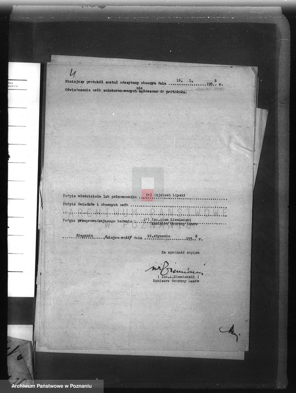 Obraz 8 z jednostki "Las majętności Bieganin powiat obornicki"